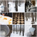 Maple syrup production Royalty Free Stock Photo