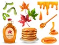 Maple Syrup Set Royalty Free Stock Photo