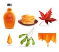 Maple Syrup Set Royalty Free Stock Photo