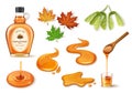 Maple Syrup Set Royalty Free Stock Photo