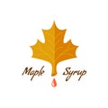 Maple syrup sign. Logo with leaf, drop and text.