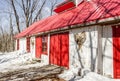 maple syrup sugar shack in forest on maple season Royalty Free Stock Photo
