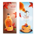 Maple Syrup Vertical Banners Set Royalty Free Stock Photo