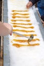 Maple taffy on snow