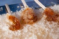 Maple taffy on snow macro Royalty Free Stock Photo