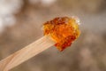 Maple taffy on a stick