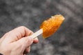 Maple Taffy on a wood stick