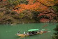 Maple tree in Arashiyama