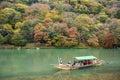 Maple tree in Arashiyama