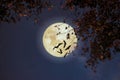 Maple tree in fall season and full moon with star Royalty Free Stock Photo