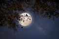 Maple tree in fall season and full moon with star Royalty Free Stock Photo