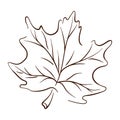 Maple tree leaf in line art style. Thanksgiving day, autumn season, Canada outline symbol. Vector illustration isolated Royalty Free Stock Photo