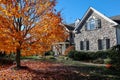 A maple tree with orange-color leaves in a single-family house community in autumn in Philadelphia suburb Royalty Free Stock Photo