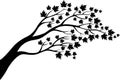 Maple tree silhouette cartoon Royalty Free Stock Photo
