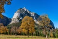 Maple trees at Ahornboden, Karwendel mountains, Tyrol, Austria