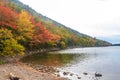 Autumn leaves on the shore of Jordan Pond Royalty Free Stock Photo