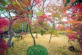 Maple trees with fall foliage colors at Eikando temple