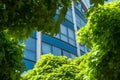 maple trees in front of modern building Royalty Free Stock Photo