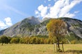 Maple trees (Greater Ahornboden) in Autumn, Austria