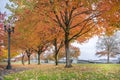 Maple Trees in Portland Downtown Park in Fall Royalty Free Stock Photo