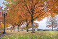 Maple Trees in Portland Downtown Park in Fall