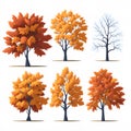 Maple trees white background set graphic clipart design, cute