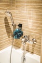 Design: Modern residential bathroom interior