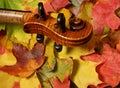 Maple Violin Scroll & Autumn Leaves