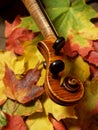 Maple Violin Scroll & Maple Leaves
