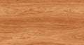 Maple wood striped grain Royalty Free Stock Photo