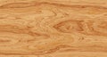 Maple wood striped grain Royalty Free Stock Photo