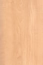 Maple Wood Texture