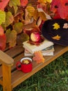 Maple yellow leaf floats in a red mug with hot tea. The cup is on a wooden bench. Royalty Free Stock Photo