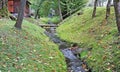 Maples grow on the banks of the cold village creek. Golden autumn leaves lie on the grass. Royalty Free Stock Photo