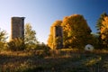 Maples and silos