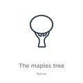 The maples tree icon. Thin linear the maples tree outline icon isolated on white background from nature collection. Line vector