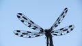 giant dragonfly sculpture projected in the blue sky