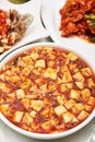 Mapo tofu Royalty Free Stock Photo