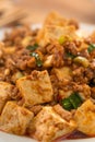 Mapo tofu, stir-fried tofu with hot spicy sauce in white plate Royalty Free Stock Photo