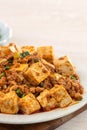 Mapo tofu, stir-fried tofu with hot spicy sauce in white plate Royalty Free Stock Photo