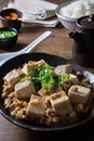 Mapo tofu, a traditional Chinese spicy dish Royalty Free Stock Photo
