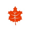 Mapple leaf leaf logo icon Royalty Free Stock Photo