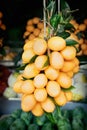 Maprang fruit Royalty Free Stock Photo