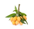 Maprang fruit , marian plum, or plum mango isolated on white background Royalty Free Stock Photo