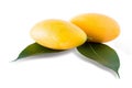 Maprang fruit is sweet. Royalty Free Stock Photo