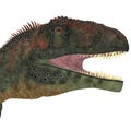 Mapusaurus Dinosaur Head