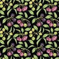 Maqui berry, purple pink fruit seamless pattern. Aristotelia chilensis textile watercolor ornament clipart. Print for