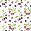 Maqui berry, purple pink fruit seamless pattern. Aristotelia chilensis textile watercolor ornament clipart. Print for