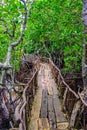 Maquinit Hot Spring at Busuanga island near Coron town, tropical swimming pools, Palawan, Philippines