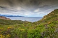 Maquis and coastline of Corsica Royalty Free Stock Photo